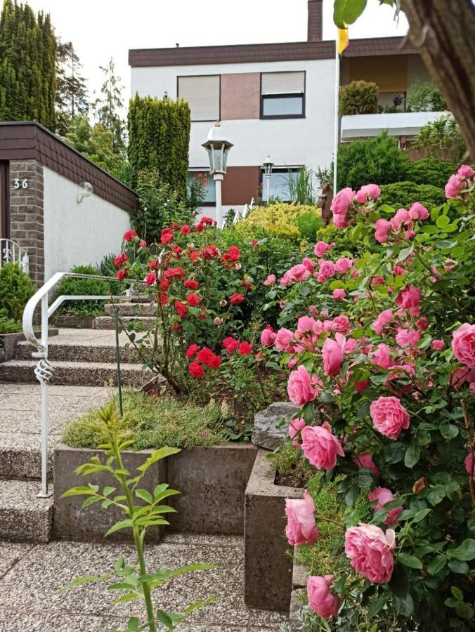 Apartments Gala, Ruhige Lage, Stadtnah Бад-Киссинген Экстерьер фото